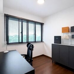 Normanton Park (D5), Apartment #544121501